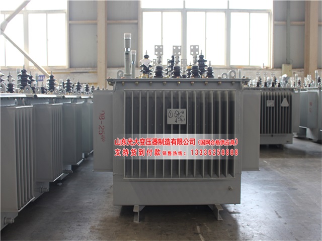 新疆S22-4000KVA油浸式变压器
